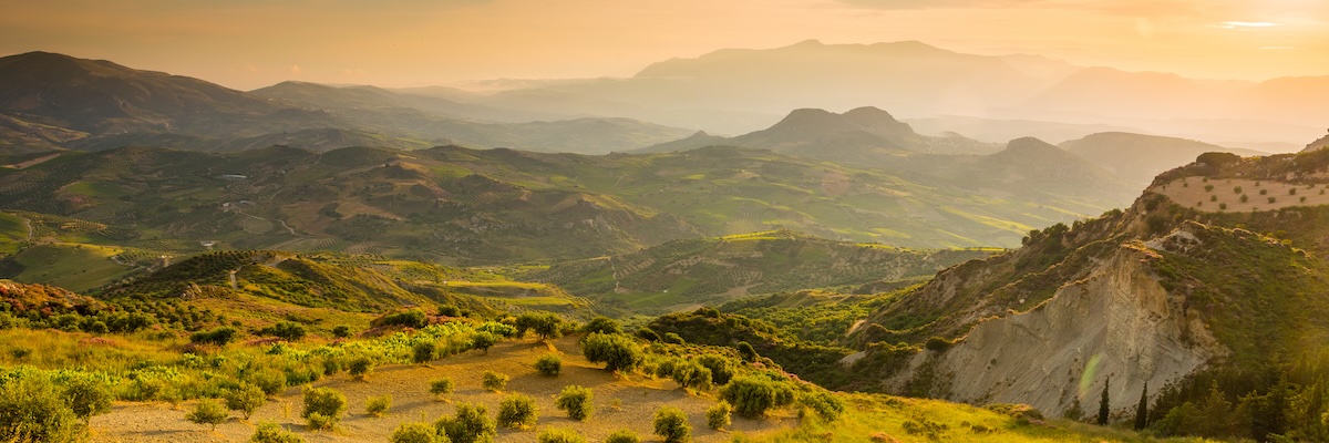 Řecký olivový olej z Kréty s aciditou od 0,2